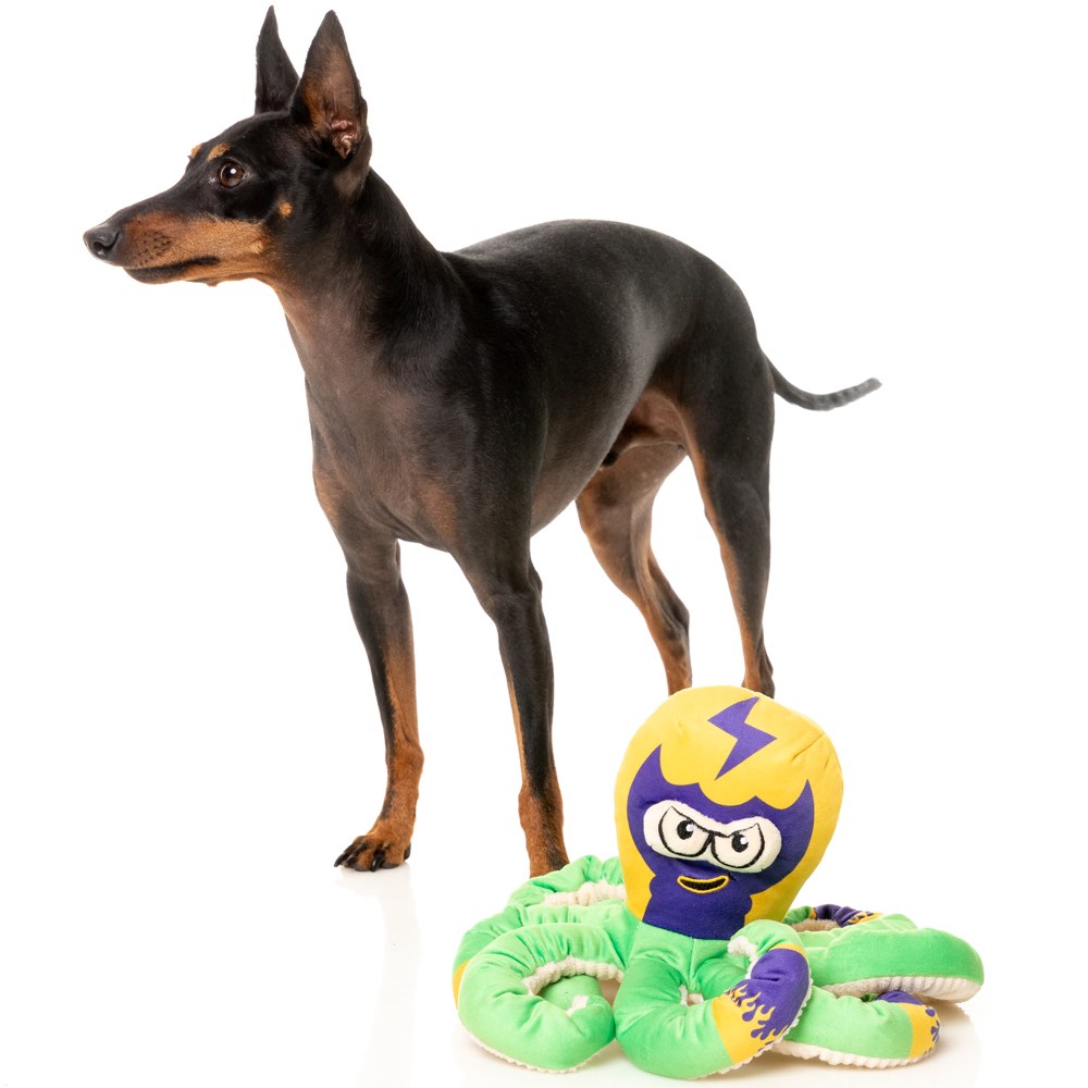 Fuzzy dog store toys