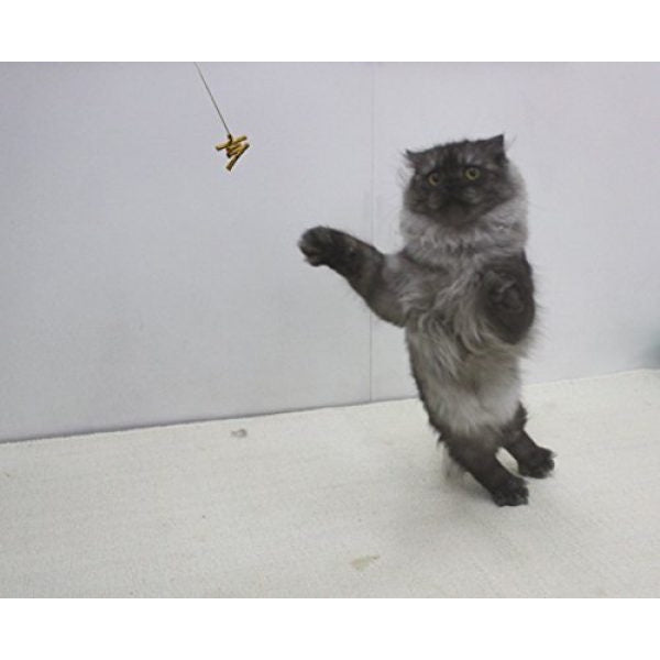 Cat dancer interactive cat sales toy