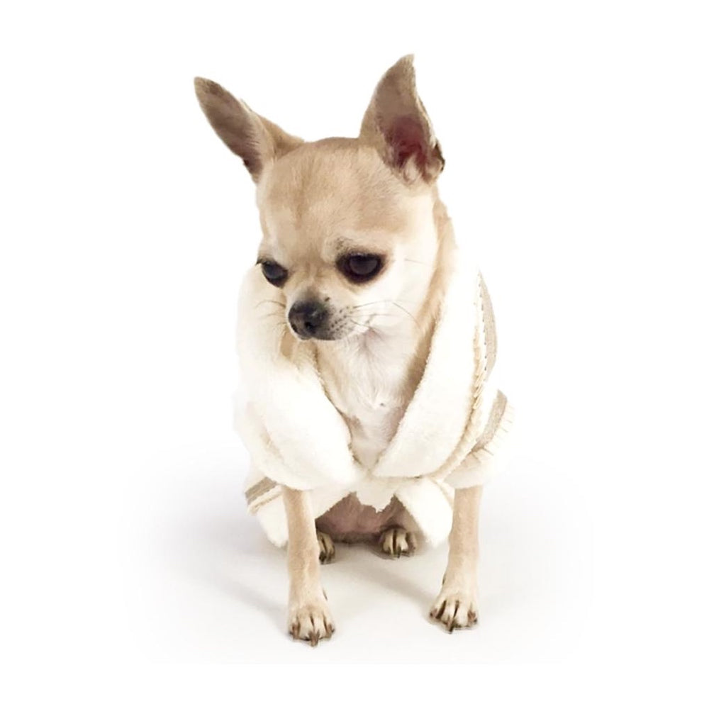 Chihuahua bathrobe outlet