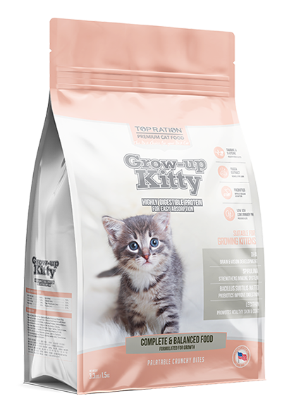 Top rated best sale kitten food