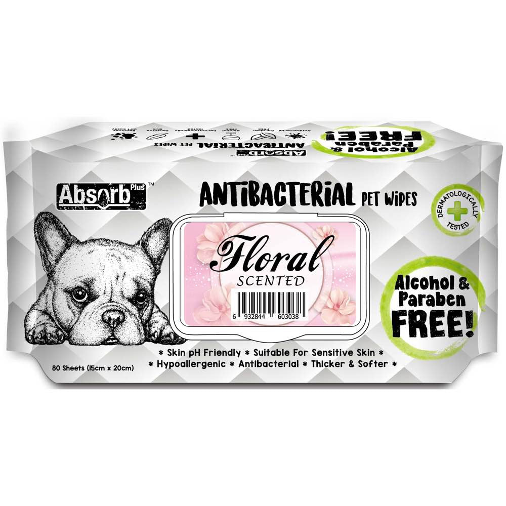 Antibacterial wipes outlet for dogs uti