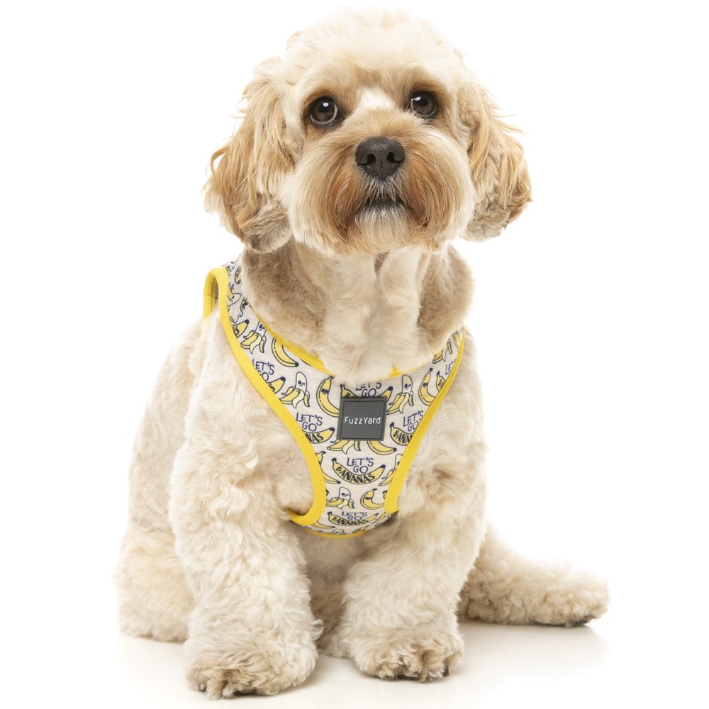 Fuzzyard dog outlet harness