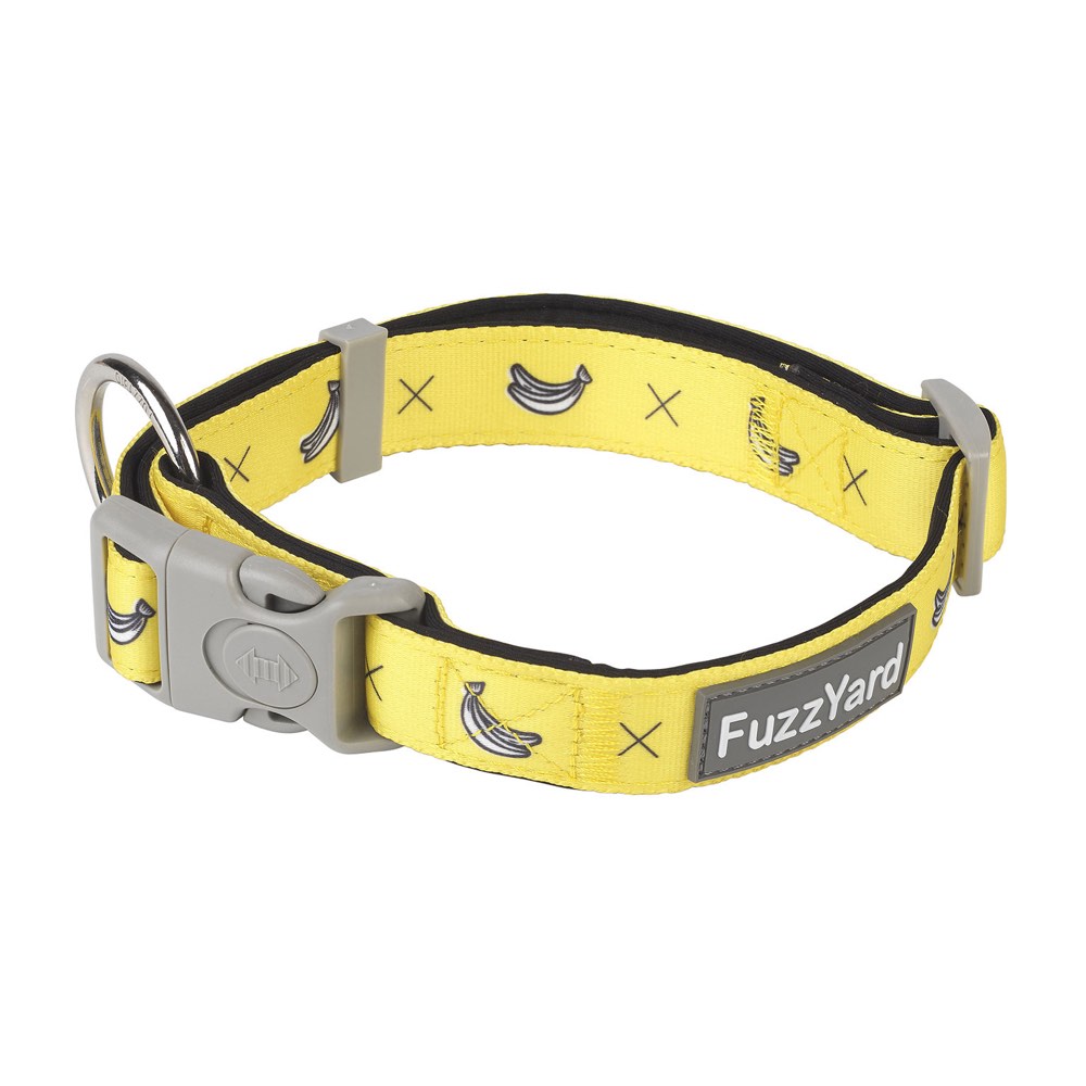 Matching collar and bracelet clearance for dogs