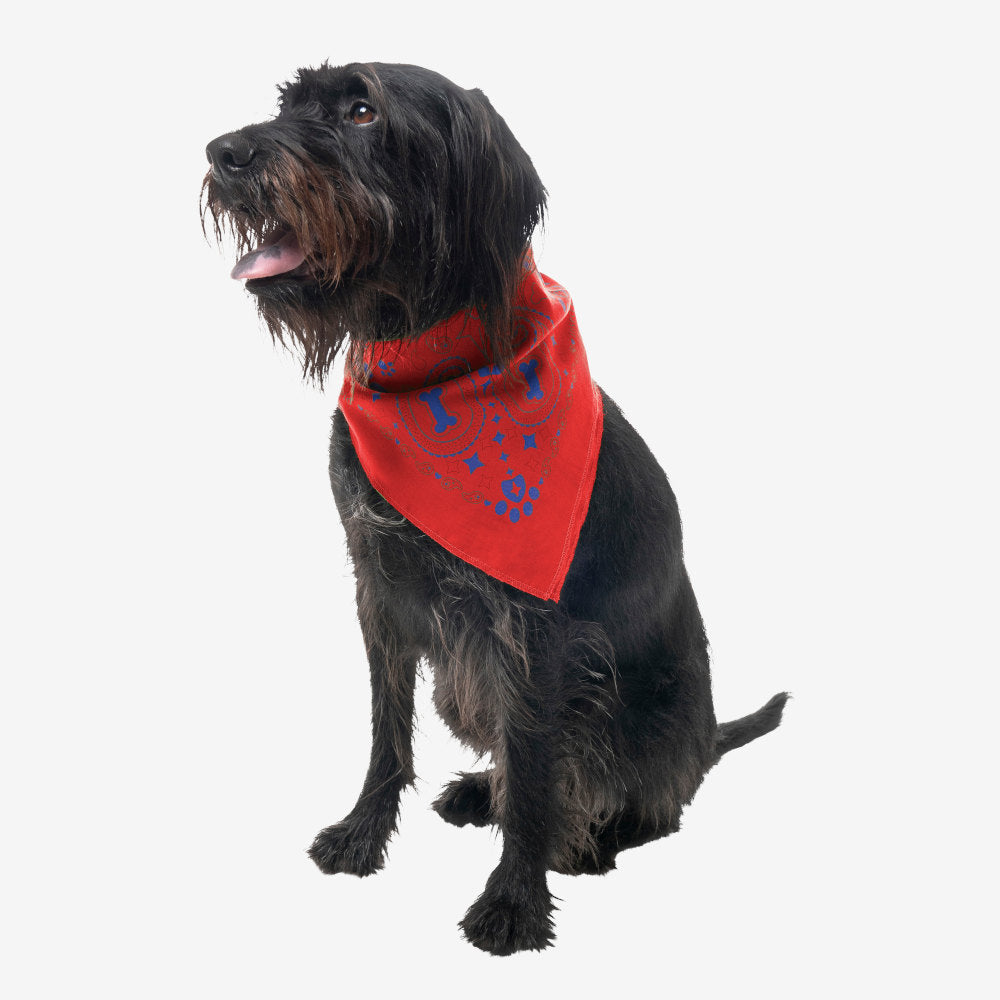 Paisley hotsell dog bandana