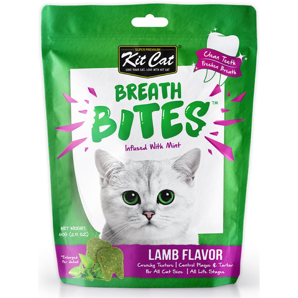 Cat shop food breath