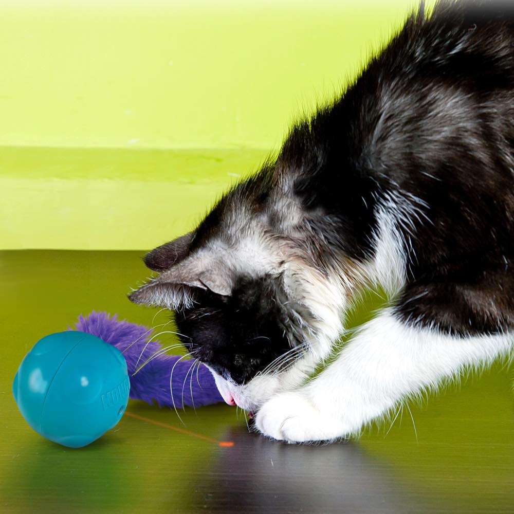 Cat Tumbler Ball Toy - Modern Pets