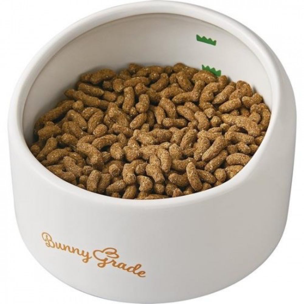 Rabbit feeding bowl best sale