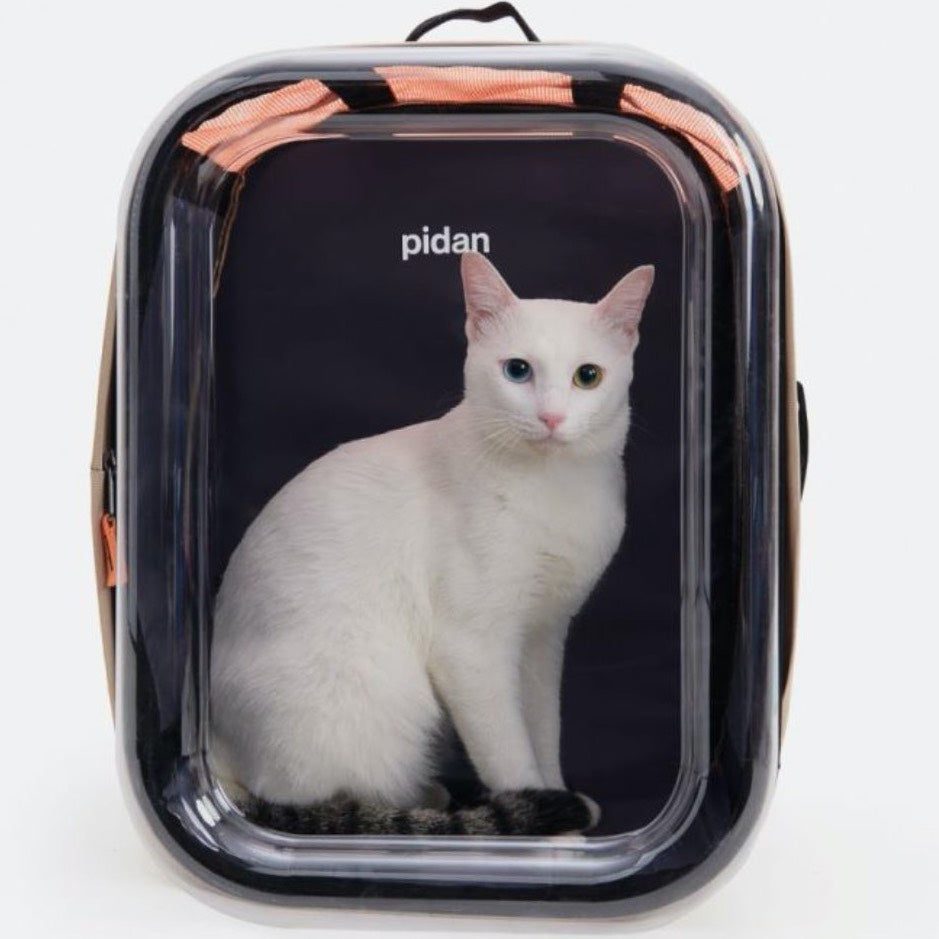 Pidan cat clearance products