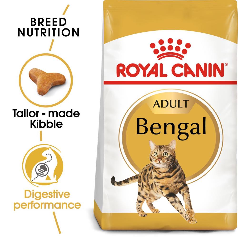 Bengal cat clearance diet