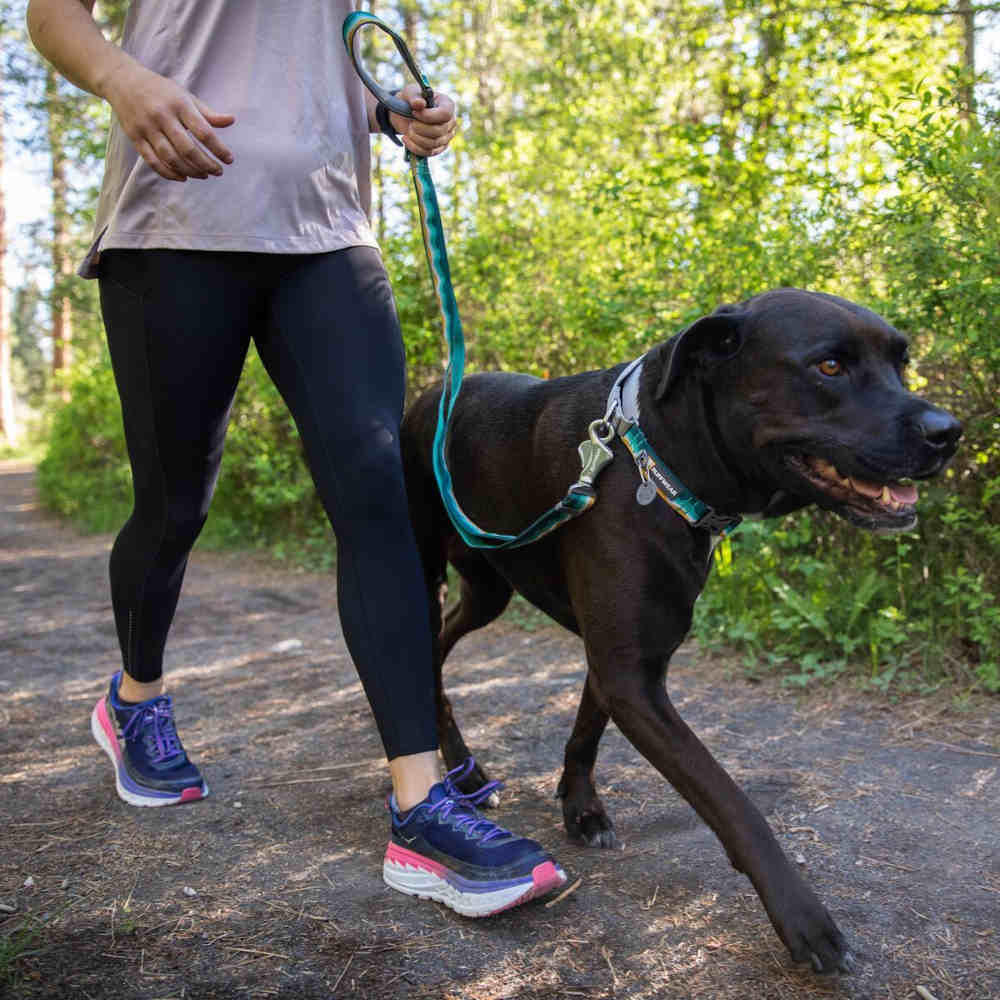 Ruffwear Web Reaction Reflective Martingale Dog Collar Granite