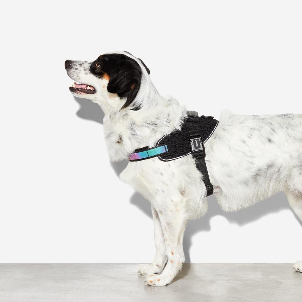 3 peaks hotsell dog harness