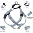 2 Hounds Design Freedom No-Pull Dog Harness & Leash - Silver