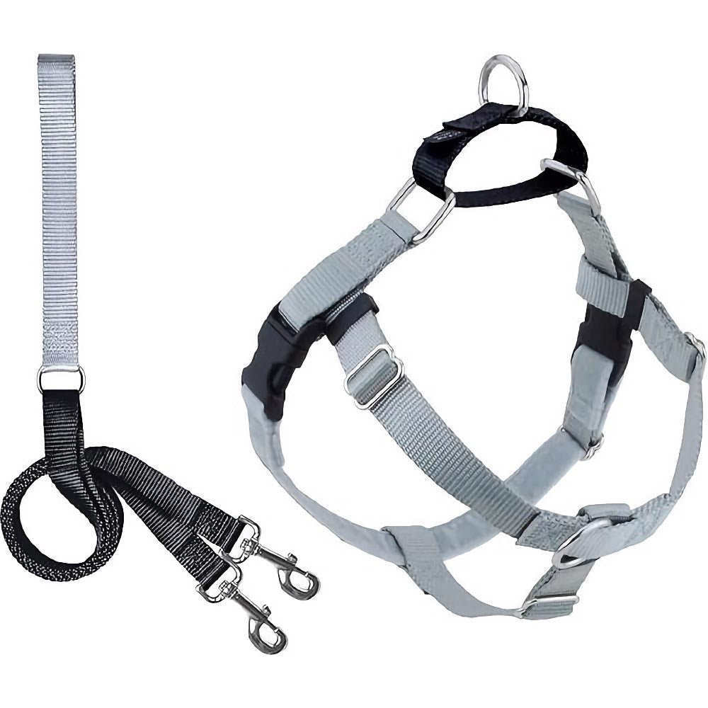 2 Hounds Design Freedom No-Pull Dog Harness & Leash - Silver