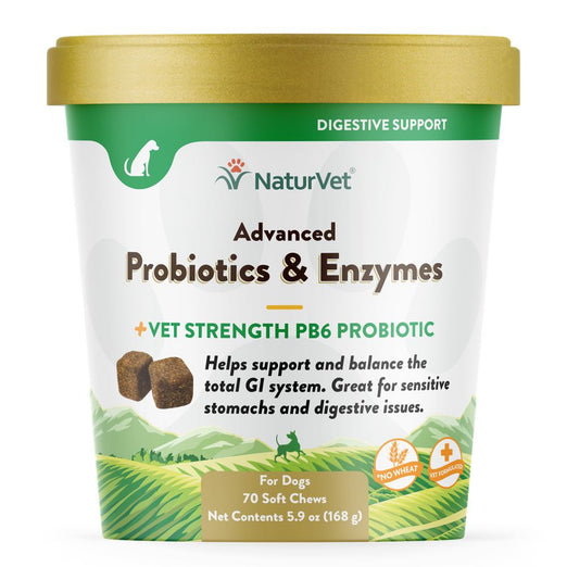  NaturVet Advanced Probiotics & Enzymes Soft Chews Dog Supplement