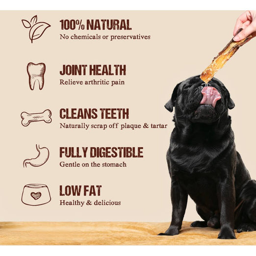 33% OFF: Absolute Bites Deer Tendon Dental Dog Chew