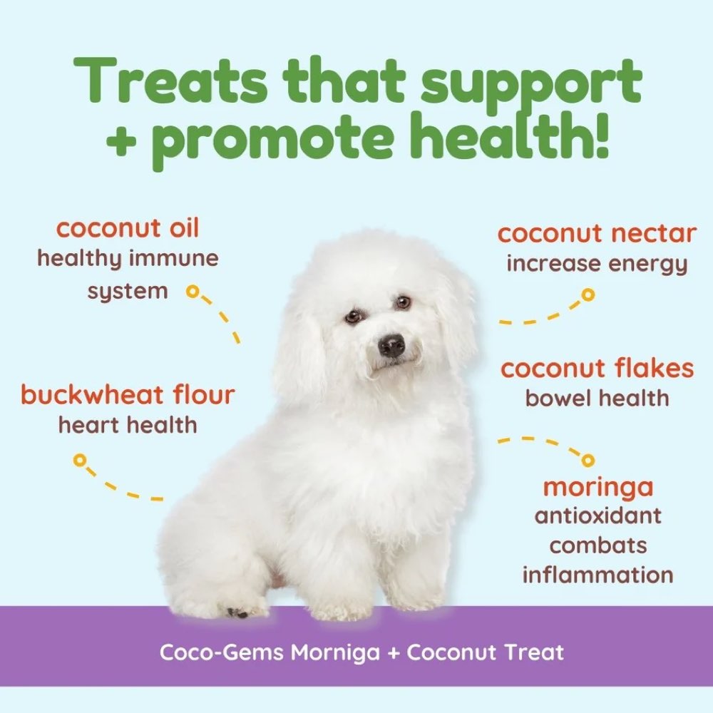 CocoTherapy Coco-Gems Moringa + Coconut Organic Grain-Free Dog Treats 5oz