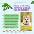 CocoTherapy Coco-Gems Moringa + Coconut Organic Grain-Free Dog Treats 5oz