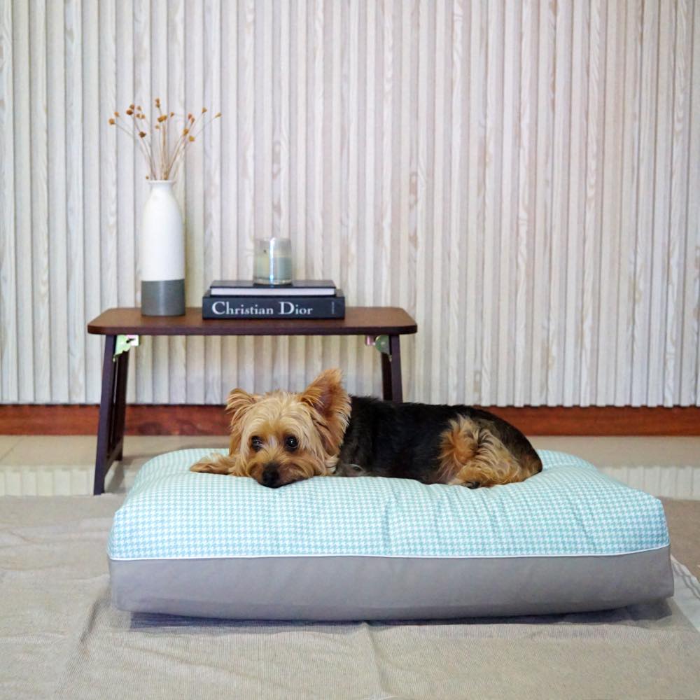 DreamCastle Cooling Natural Dog Bed (Dreamy)