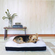 DreamCastle Cooling Natural Dog Bed (Cookie)