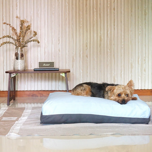 DreamCastle Cooling Natural Dog Bed (Sky)