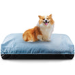 DreamCastle Cooling Natural Dog Bed (Sky)