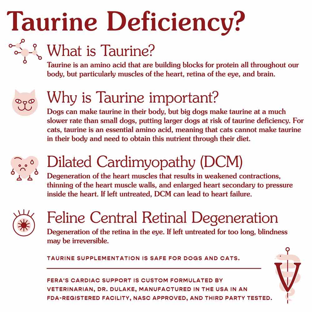 Taurine for dogs heart hot sale disease