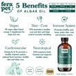 Fera Pets Plant-Based Omega 3s Algae + Flaxseed Oil Supplement For Cats & Dogs 8oz