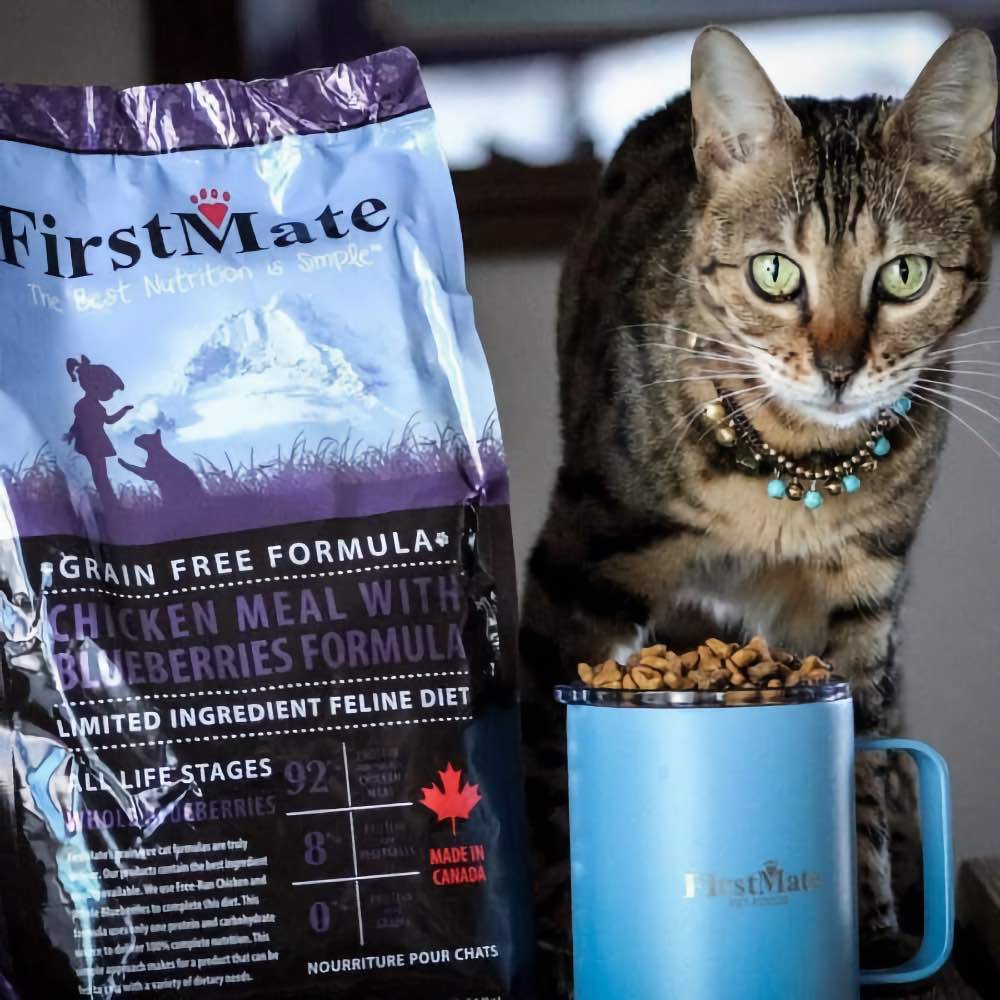 20% OFF: FirstMate Grain Free Chicken with Blueberries Formula Dry Cat Food