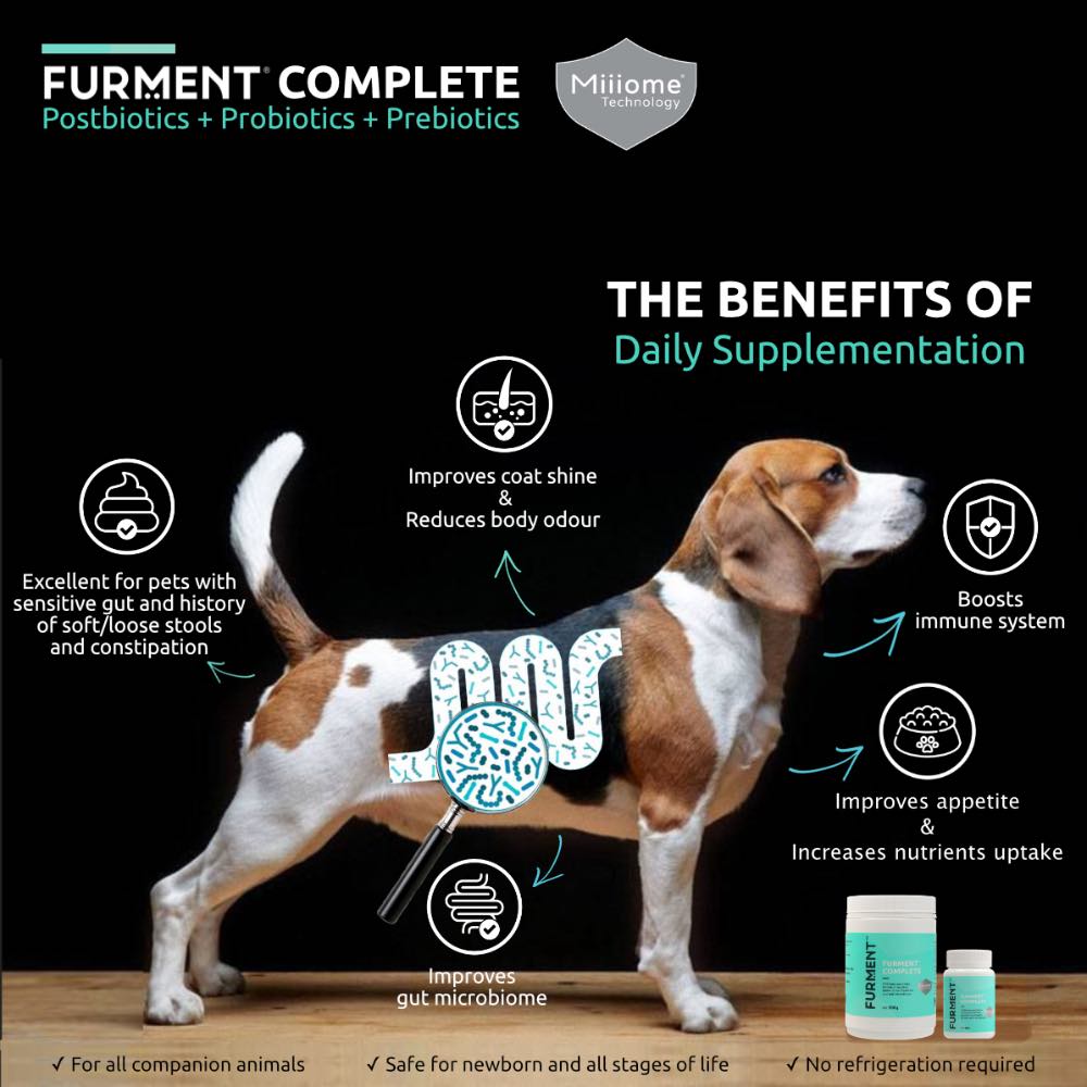 Furment Complete Supplement For Pets 50g