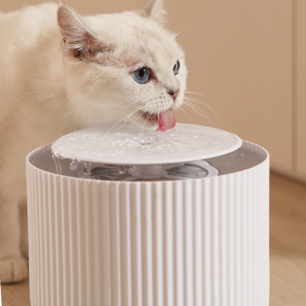 FurryTail Automatic Clear Cat Drinking Fountain 2L