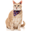 15% OFF: FuzzYard Cat Collar, Bandana & Bowtie Fashion Pack (Caturday Night Fever)