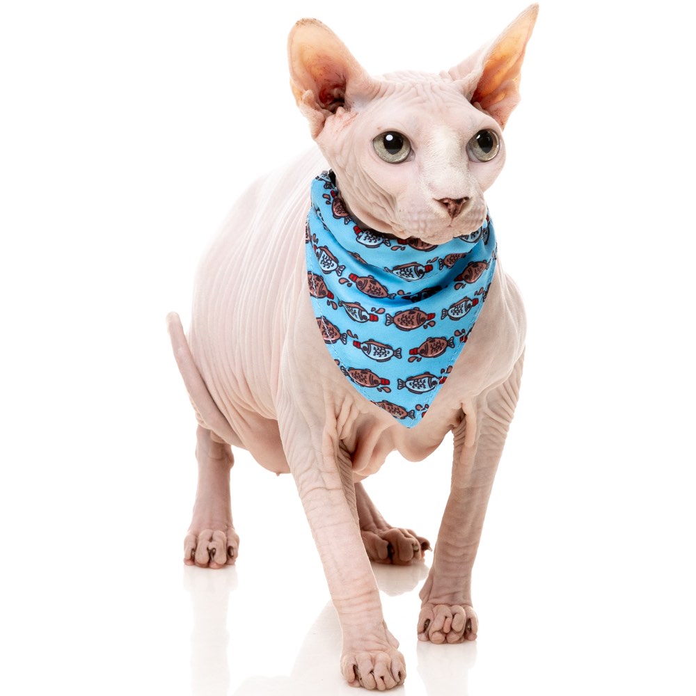 15% OFF: FuzzYard Cat Collar, Bandana & Bowtie Fashion Pack (Soy Sauce Fish)