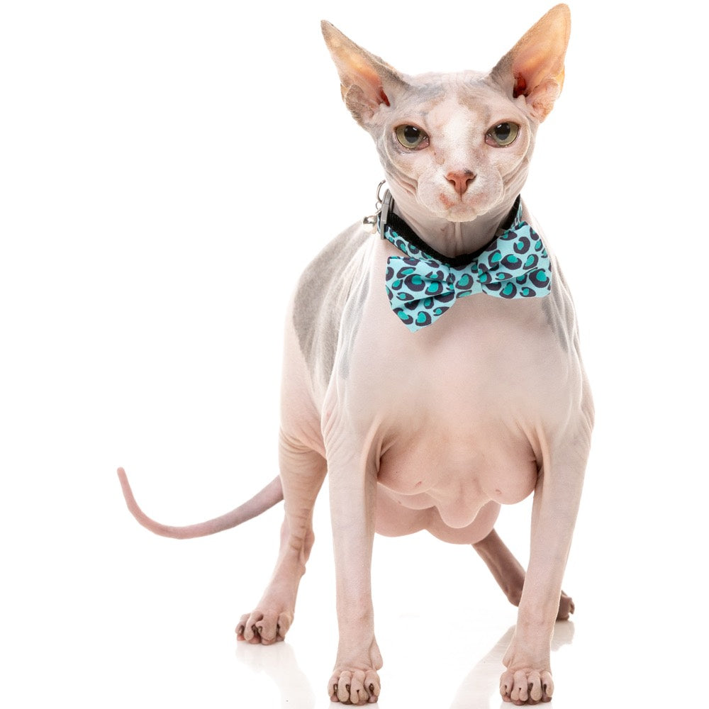 15% OFF: FuzzYard Cat Collar, Bandana & Bowtie Fashion Pack (Wild One Aqua)