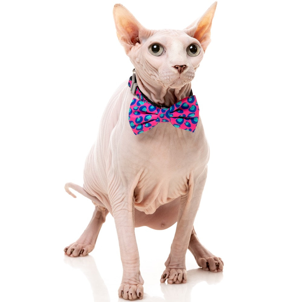 15% OFF: FuzzYard Cat Collar, Bandana & Bowtie Fashion Pack (Wild One Bubblegum)