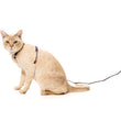 15% OFF: FuzzYard Cat Harness & Leash Walking Set (Caturday Night Fever)