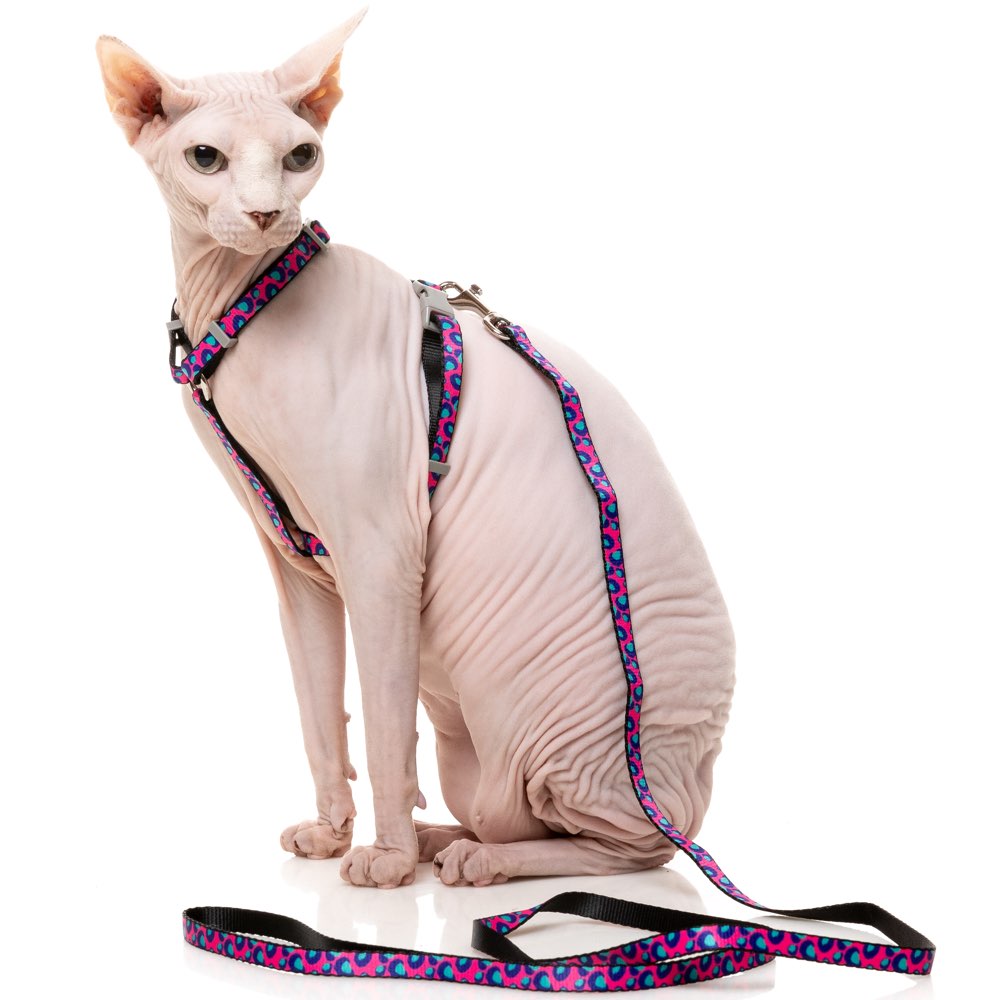 15% OFF: FuzzYard Cat Harness & Leash Walking Set (Wild One Bubblegum)