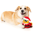 15% OFF: FuzzYard Christmas Quacker Plush Dog Toy