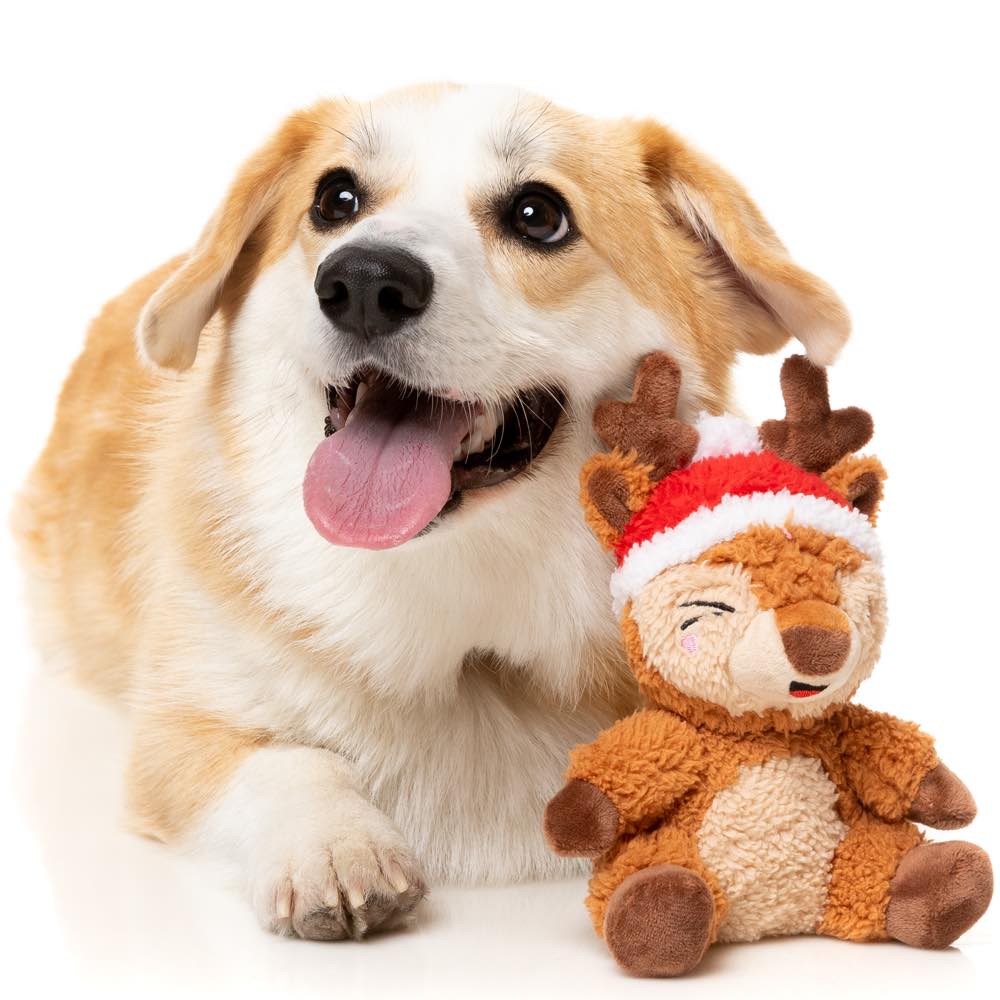 15% OFF: FuzzYard Christmas Rosco Reindeer Plush Dog Toy (Small)