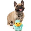 15% OFF: FuzzYard Ducktor Plush Dog Toy