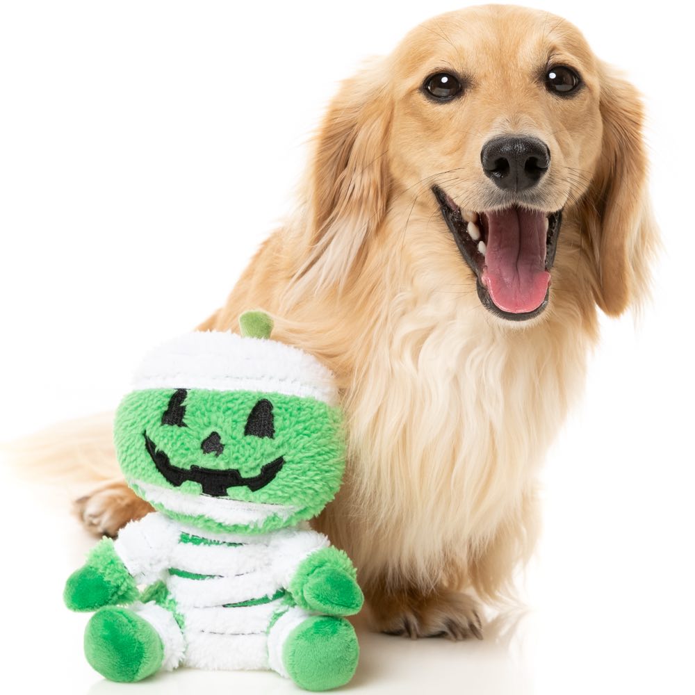 15% OFF: FuzzYard Halloween Jack-O Chan Mummy Plush Dog Toy