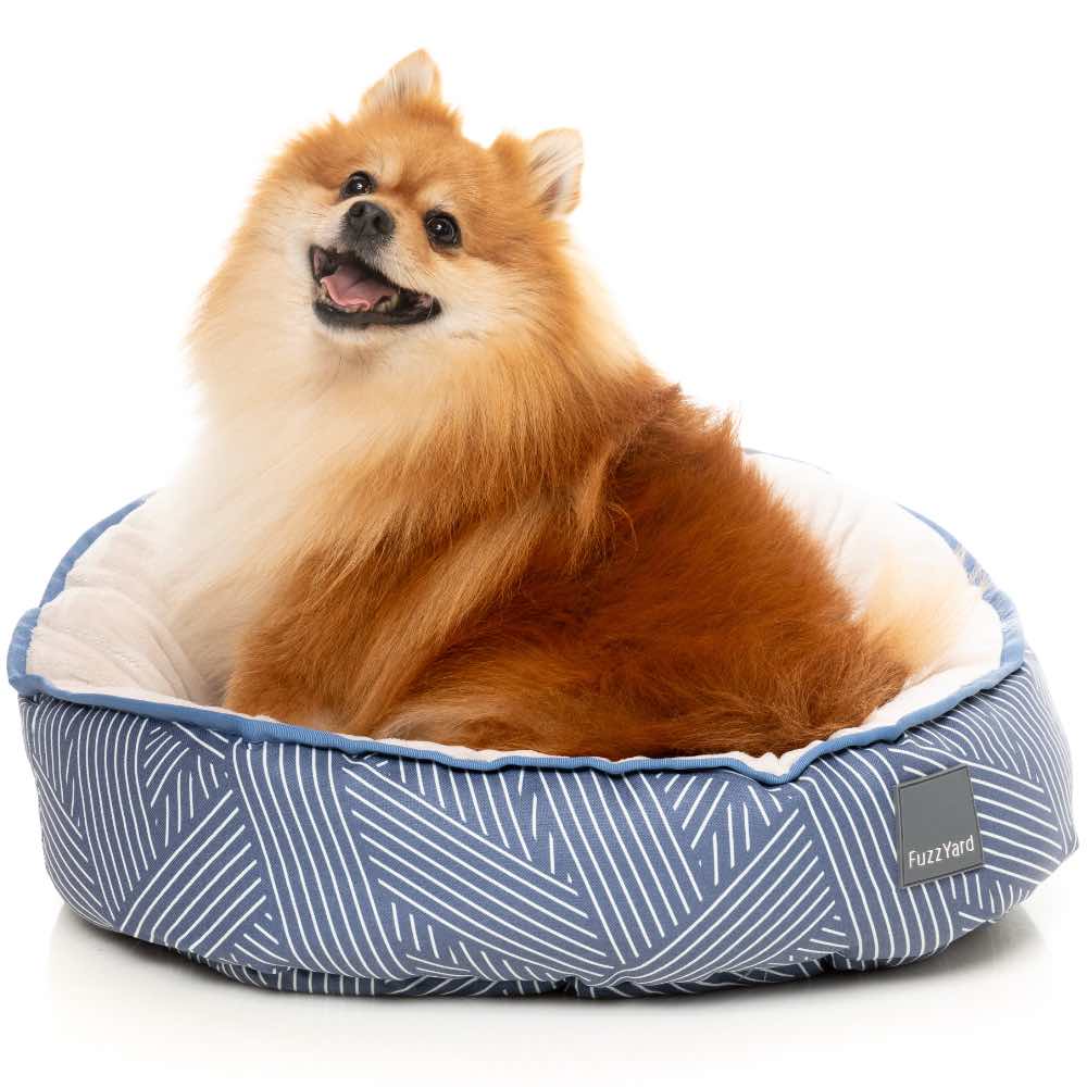 15% OFF: FuzzYard Reversible Dog Bed (Thornbury Aegean Blue)