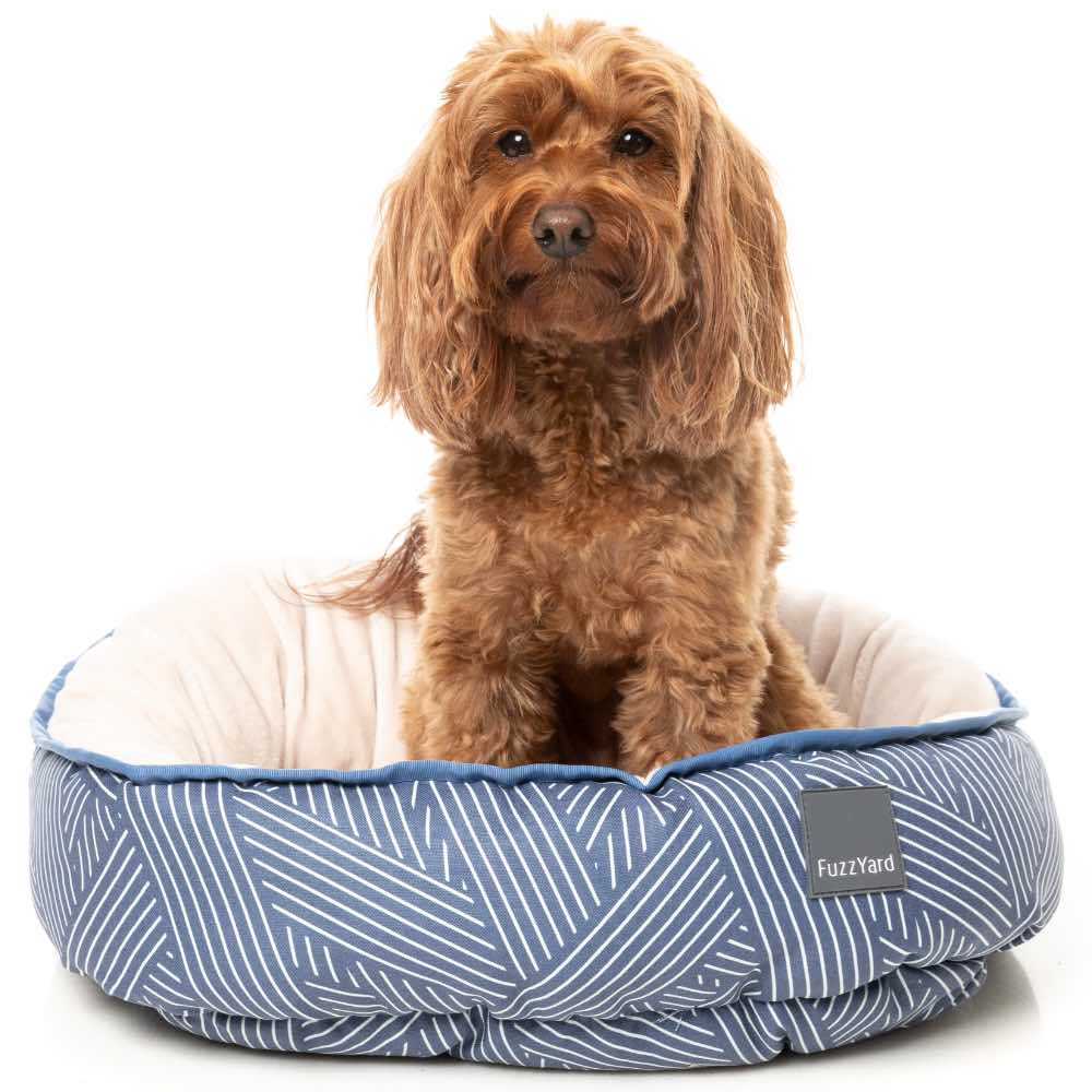 15% OFF: FuzzYard Reversible Dog Bed (Thornbury Aegean Blue)