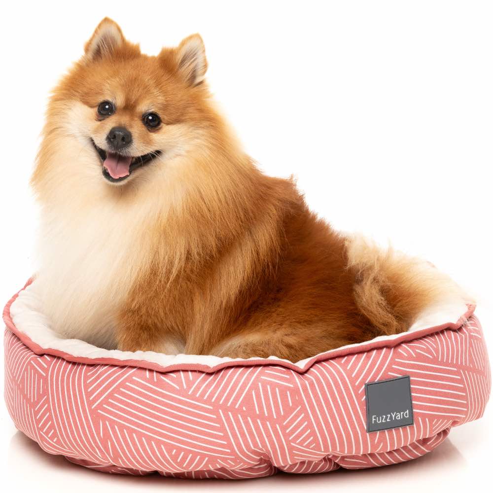 15% OFF: FuzzYard Reversible Dog Bed (Thornbury Brick Red)