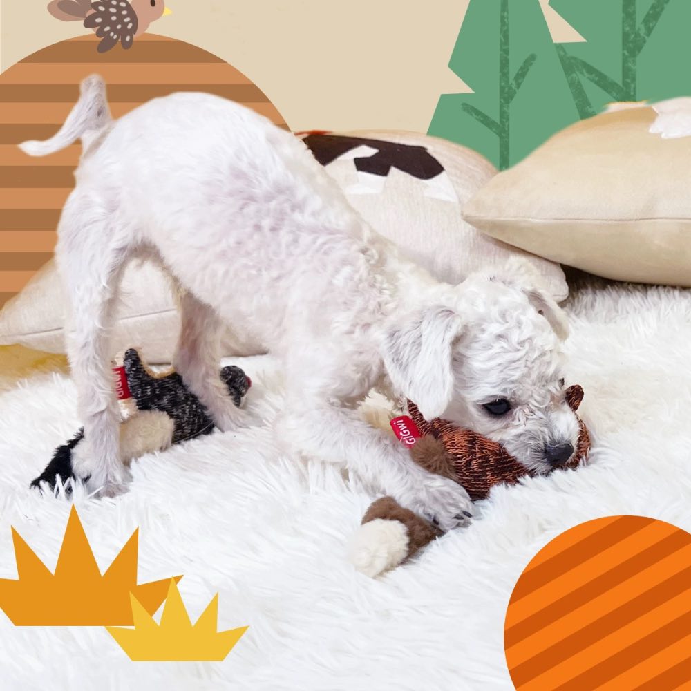 KOHE-VERSARY 8% OFF: GiGwi Plush Friendz Dog Toy (Skunk)