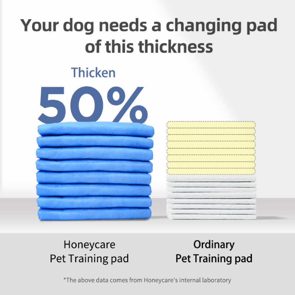 BUNDLE DEAL: Honey Care Petrichor Dog Pee Pads