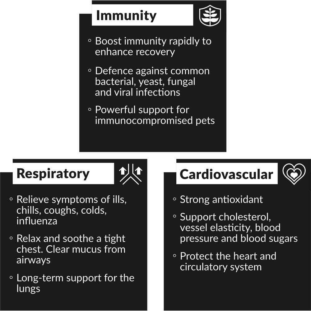 KiwiVital OliveBoost Natural Immune Defence Olive Leaf Extract Supplement Powder For Cats & Dogs