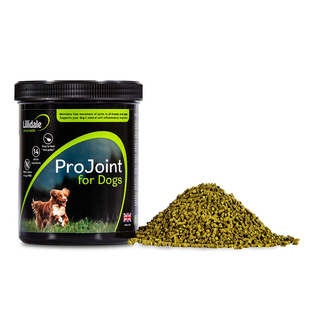 Lillidale ProJoint Joint Dog Supplement