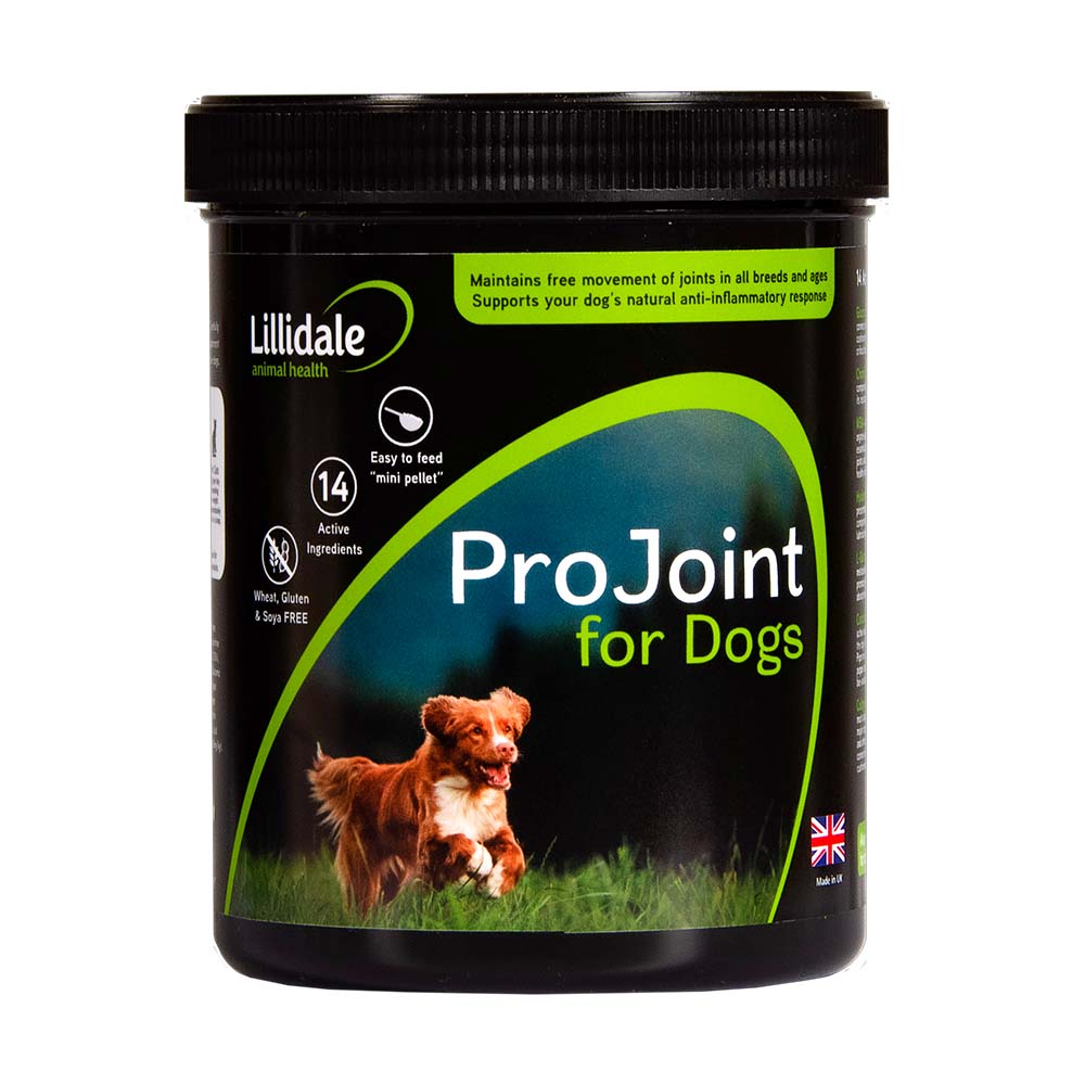 Lillidale ProJoint Joint Dog Supplement