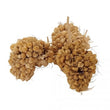 Marukan Millet Bite-Sized Small Pet Treats 45g