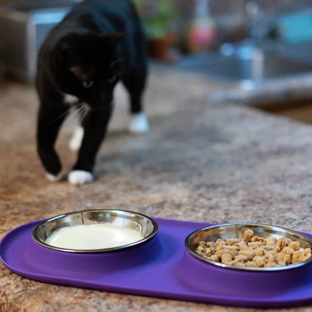 Messy Cats Double Silicone Feeder With Stainless Steel Cat Bowls (Purple)